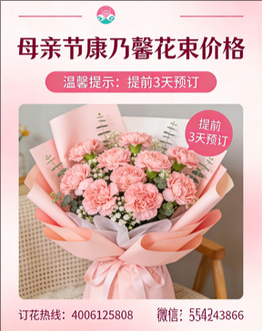 恩施州巴东县花店母亲节康乃馨花束