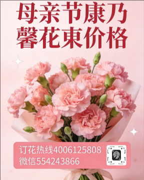 恩施州巴东县花店母亲节康乃馨花束